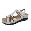 ŽENSKI COMER LTH-83 WHITE/CAMEL