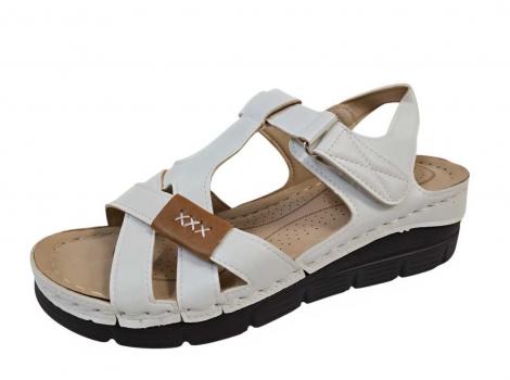 ŽENSKI COMER LTH-83 WHITE/CAMEL